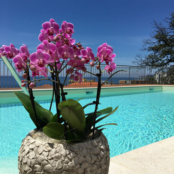Piscina dell’Hotel Mediterraneo a Cavi di Lavagna
